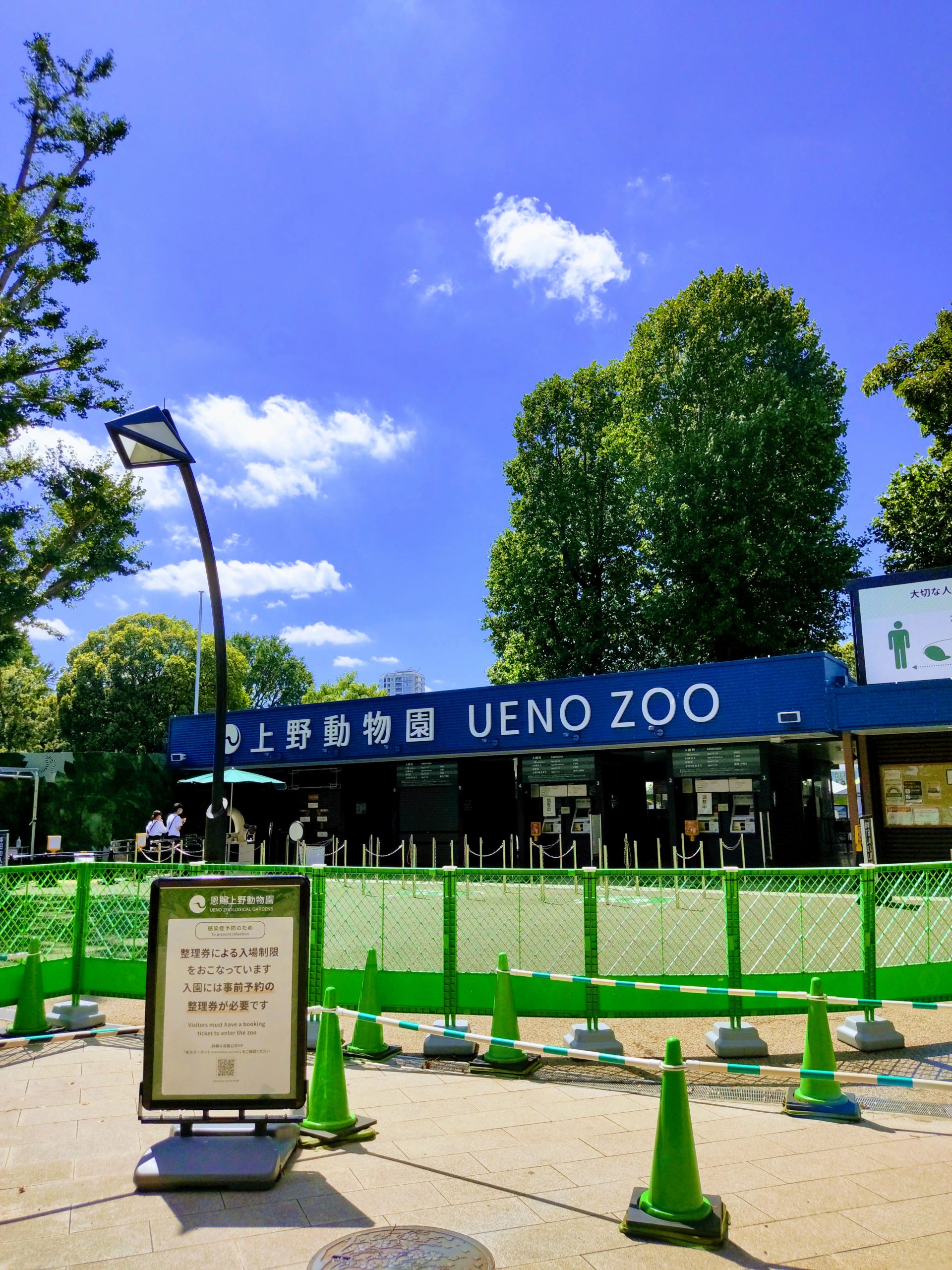 【上野公園】おすすめの散歩コース【2020年】丨散歩写真日記 vol.5 | とものみ