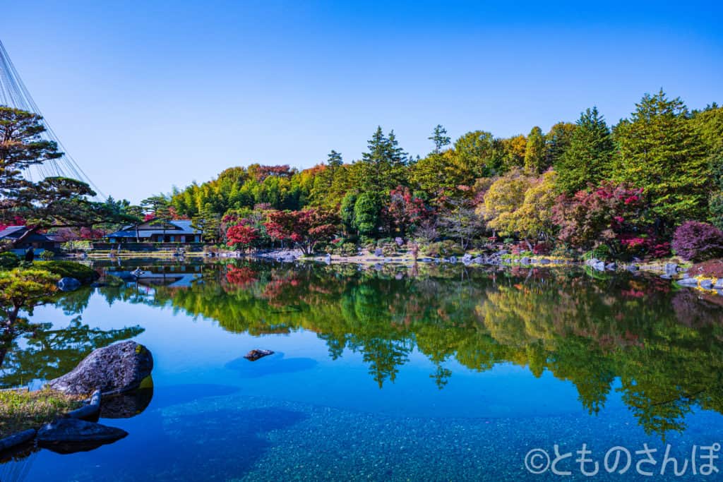 国営昭和記念公園の日本庭園。