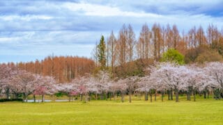 みさと公園