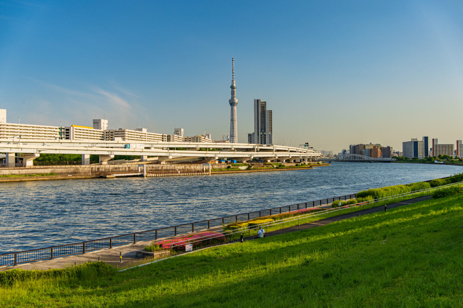 都営白鬚東アパートとその周辺丨散歩写真日記vol.117 東京散歩写真日記