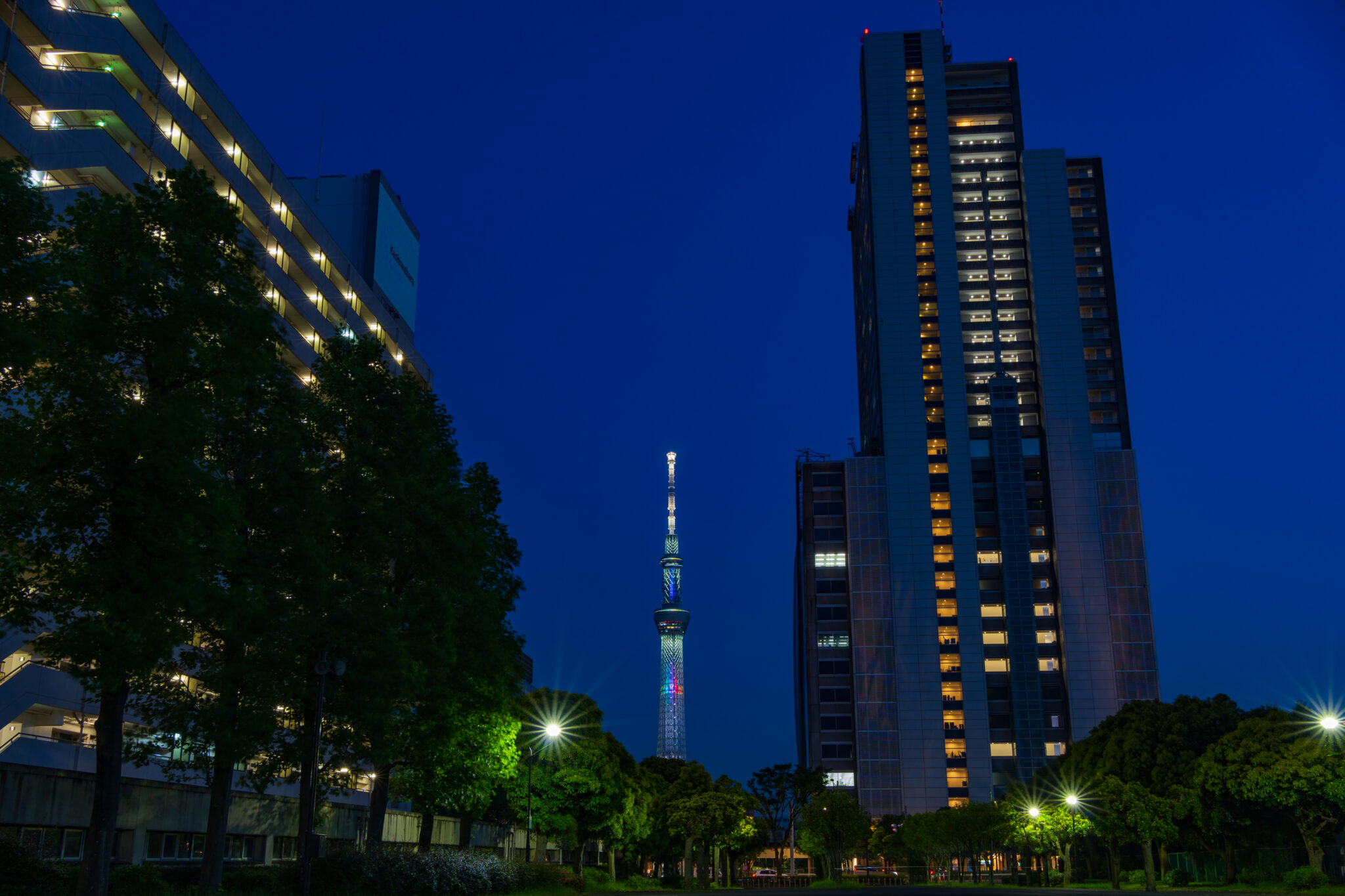 都営白鬚東アパートとその周辺丨散歩写真日記vol.117 東京散歩写真日記