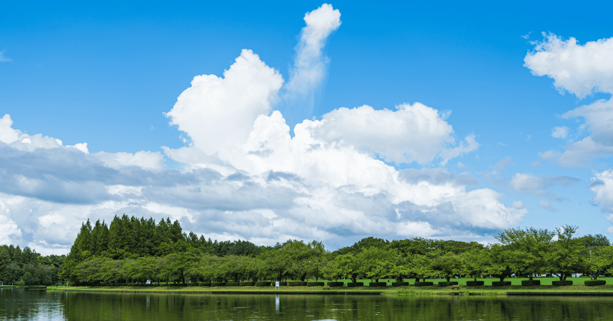 水元公園の入道雲