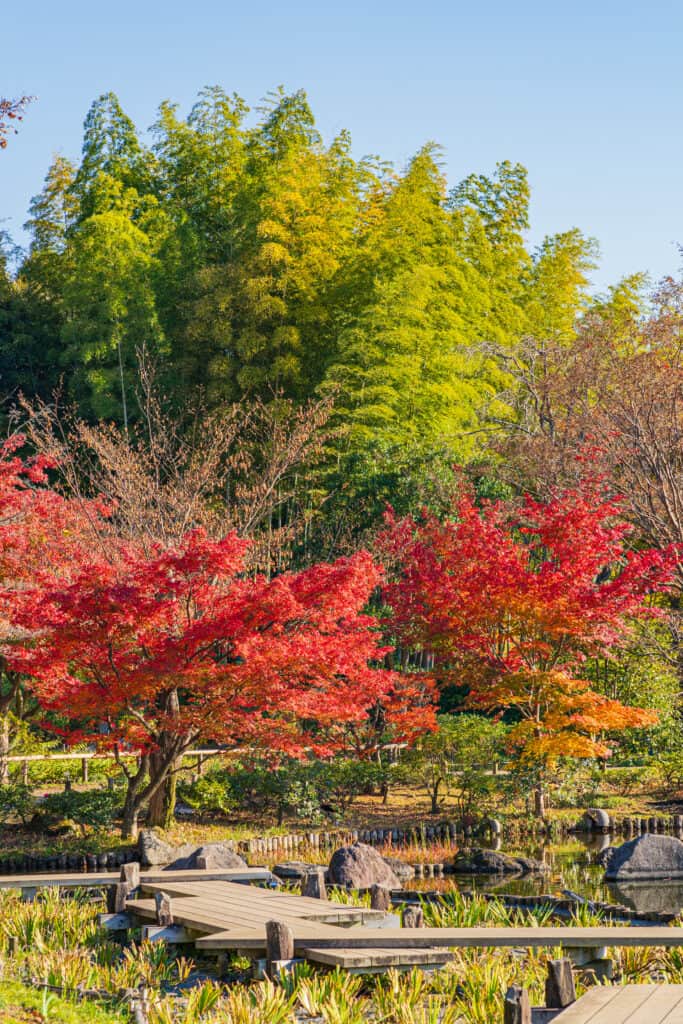 国営昭和記念公園、日本庭園