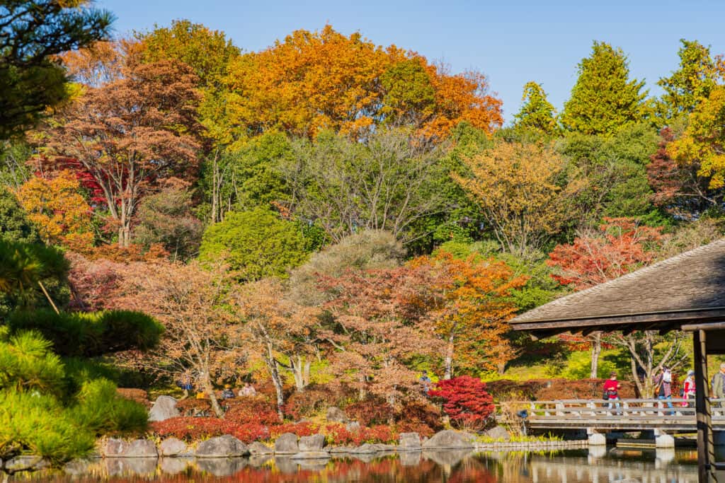 国営昭和記念公園、日本庭園